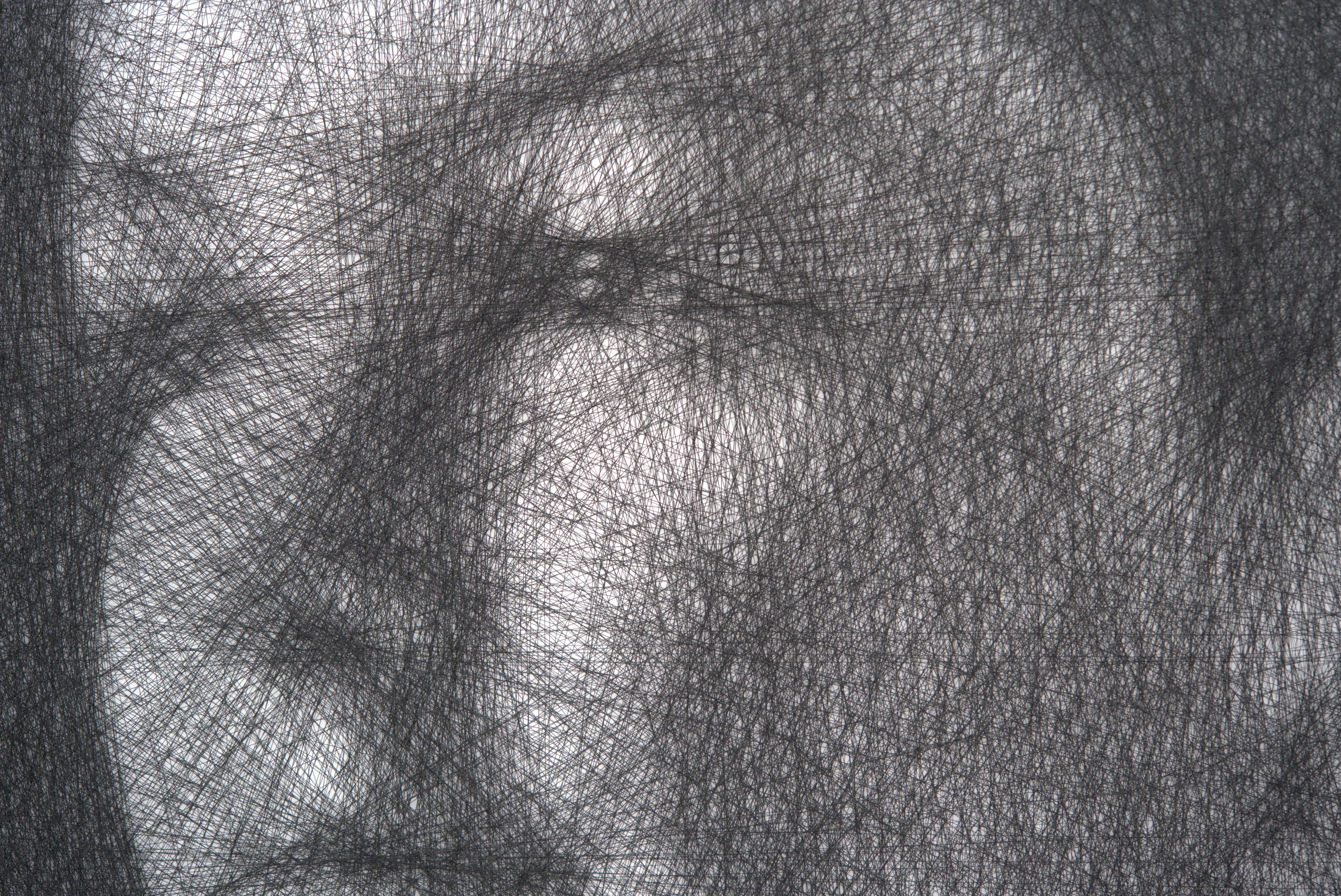 Close-up of a detailed line drawing of a face