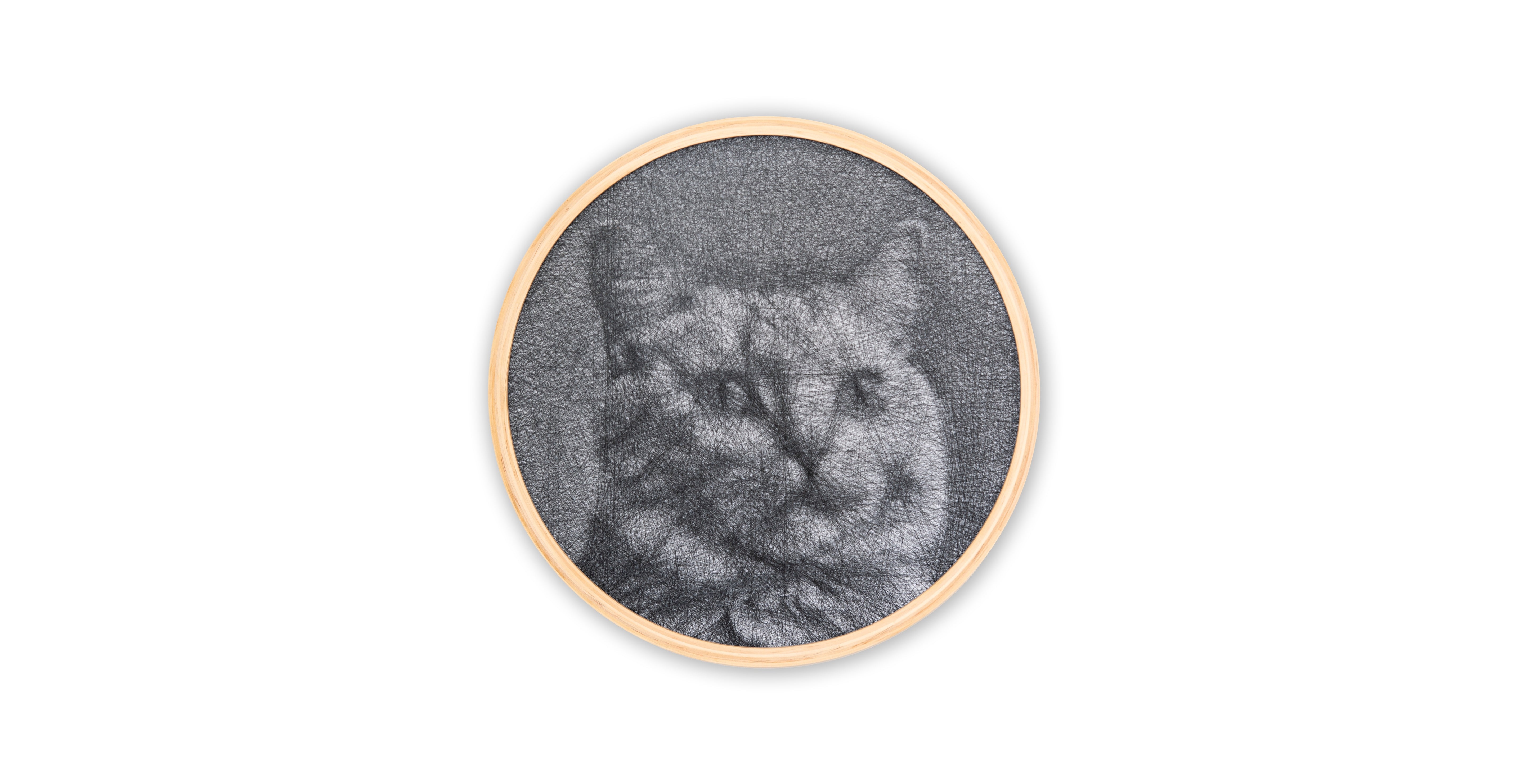 Circular framed picture of a cat on a white background